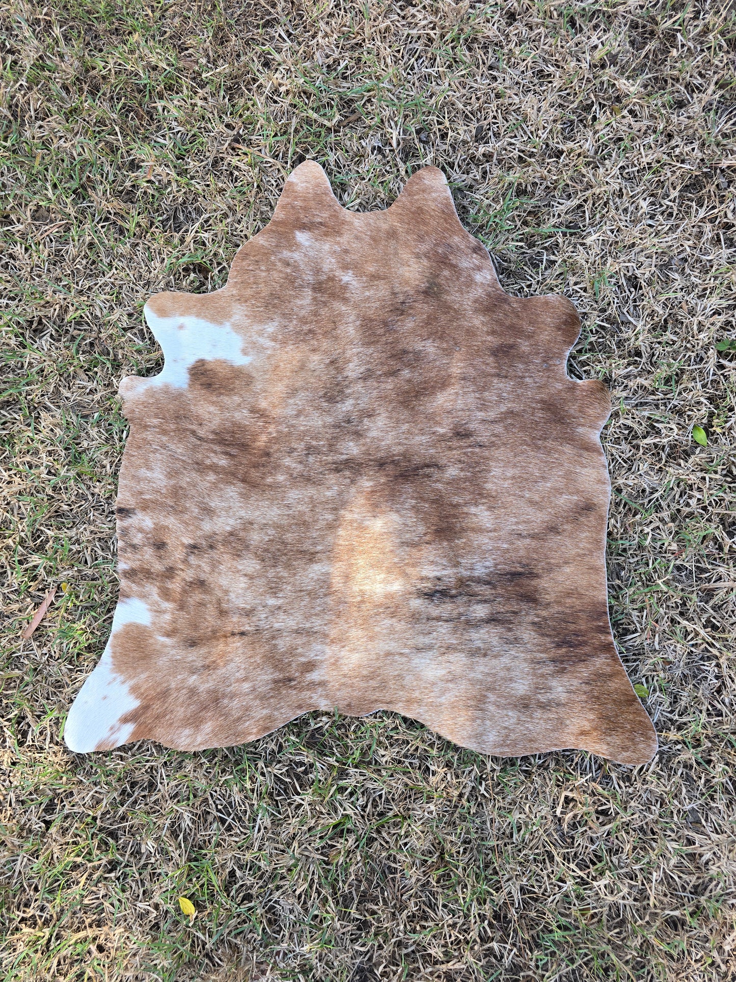 The in-betweener cowhide rug (approx 60cm x 60cm)