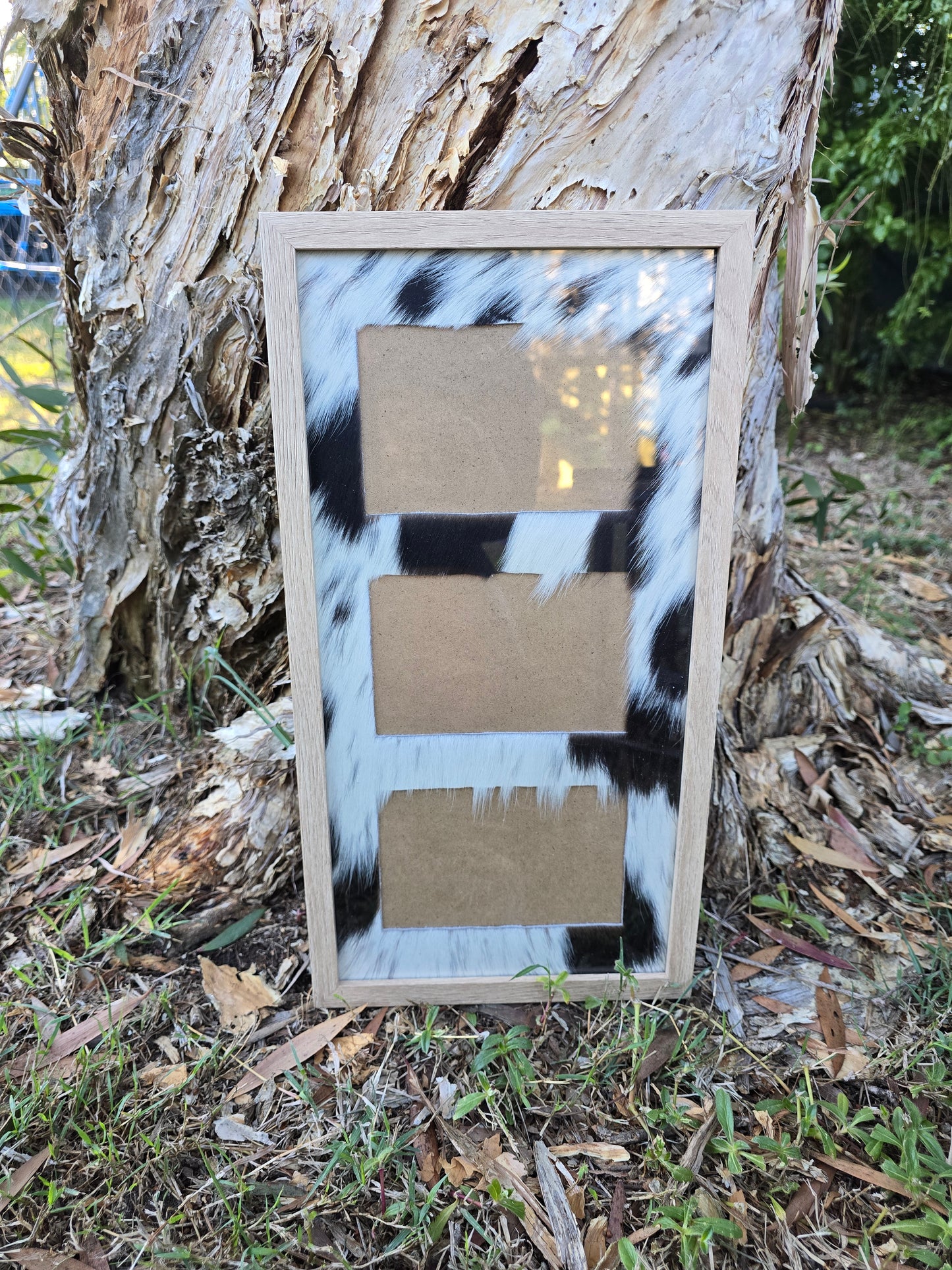 Cowhide frame photo size 3- 4x6"