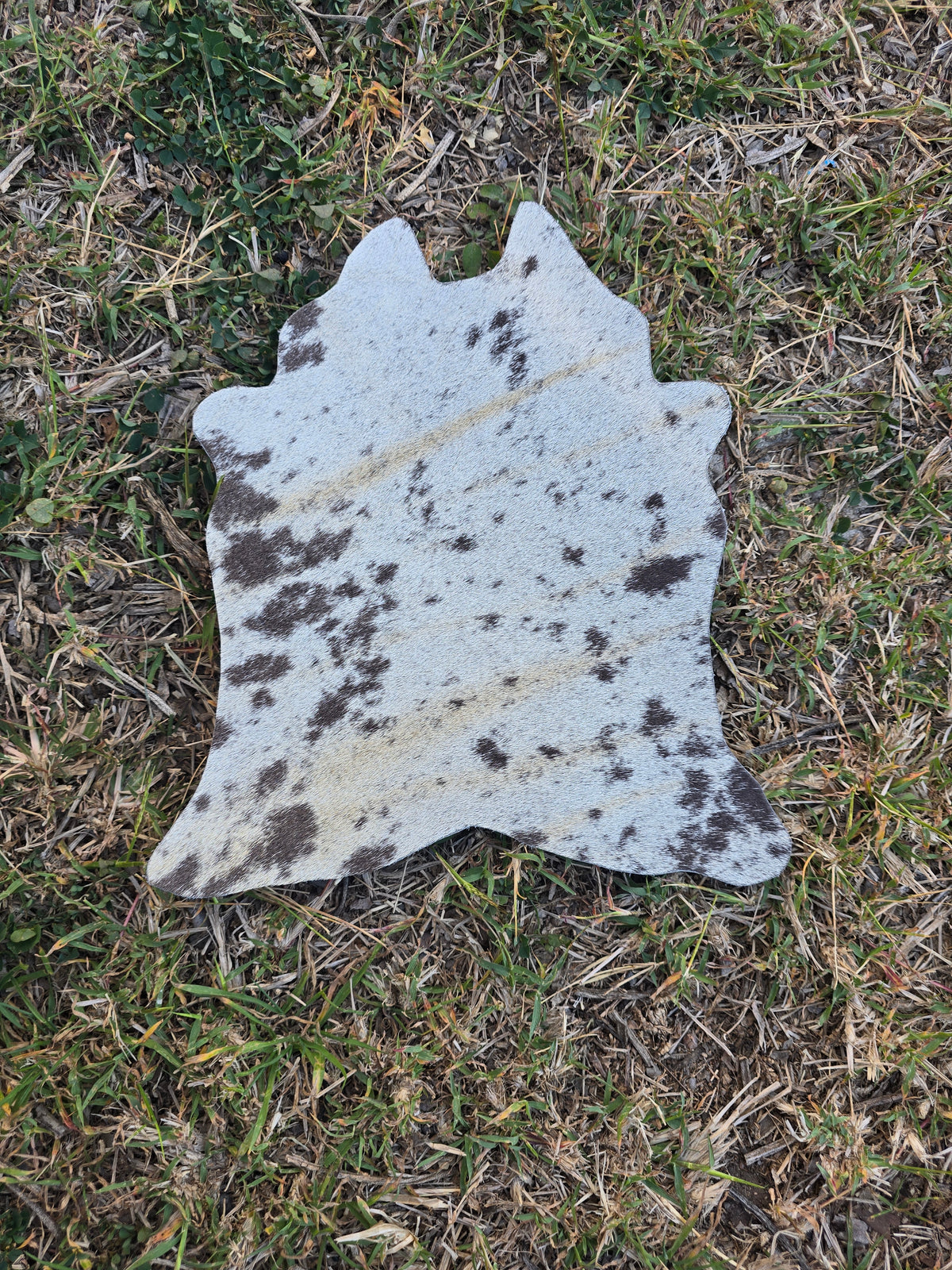 Itty Bitty Cowhide (23cm x 21cm)