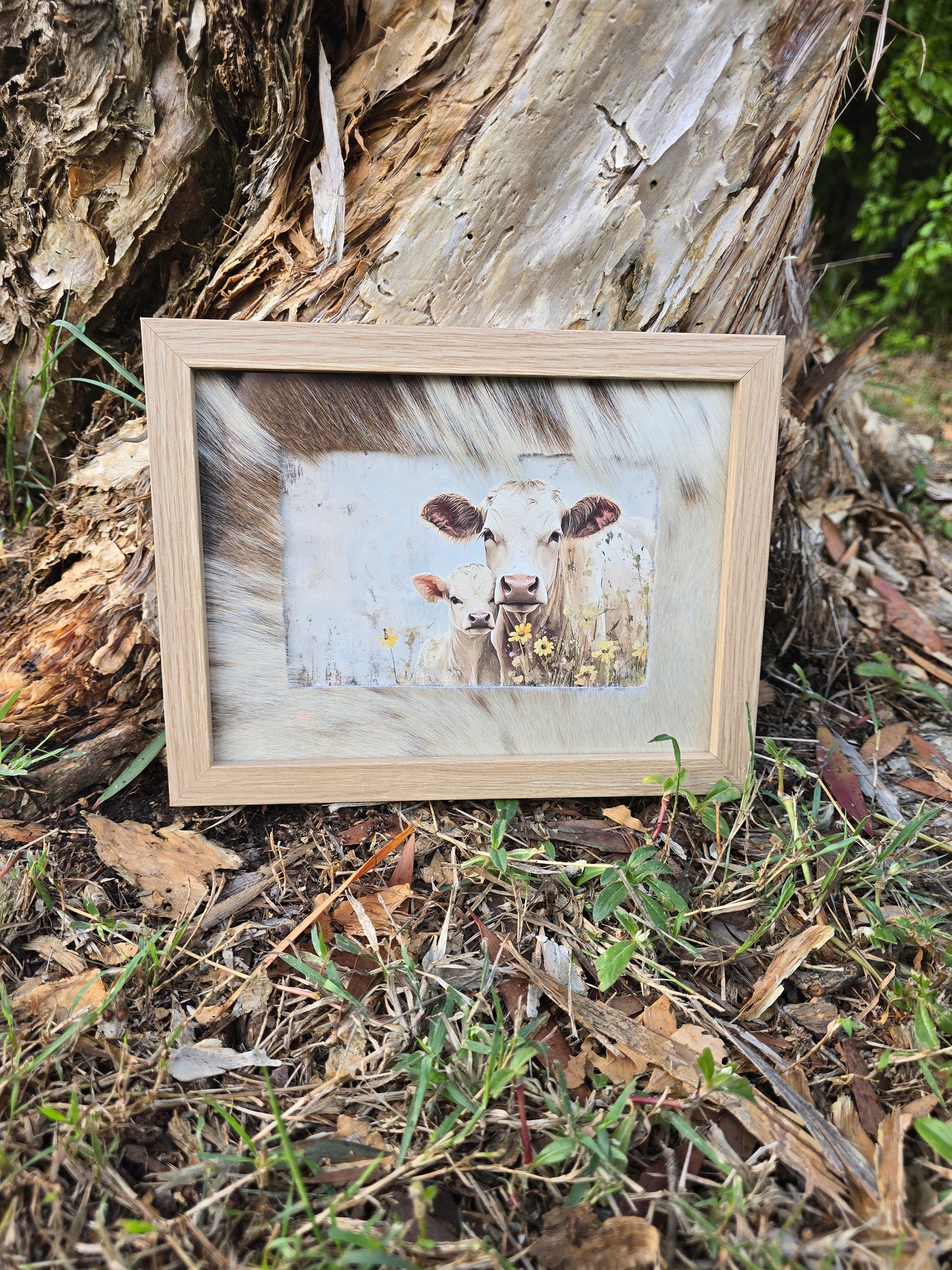 Cowhide frame with cows print