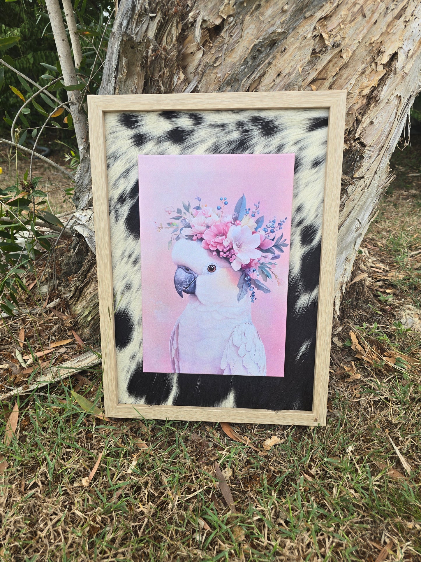 A4 Australian Bird Prints | A3 Cowhide-Bordered Frame