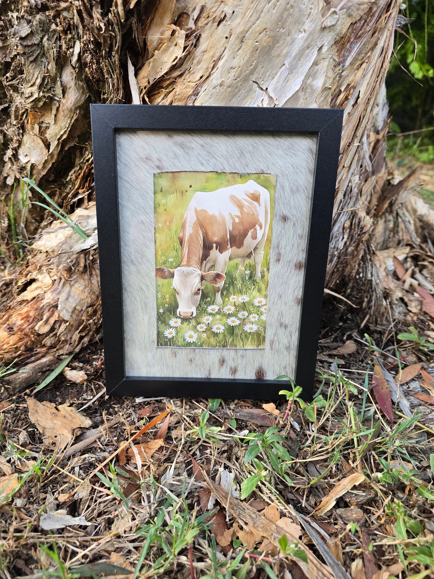 Cowhide frame with cow print
