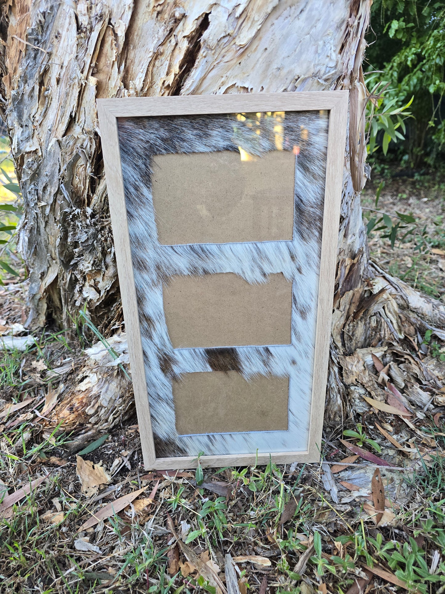 Cowhide frame photo size 3- 4x6"