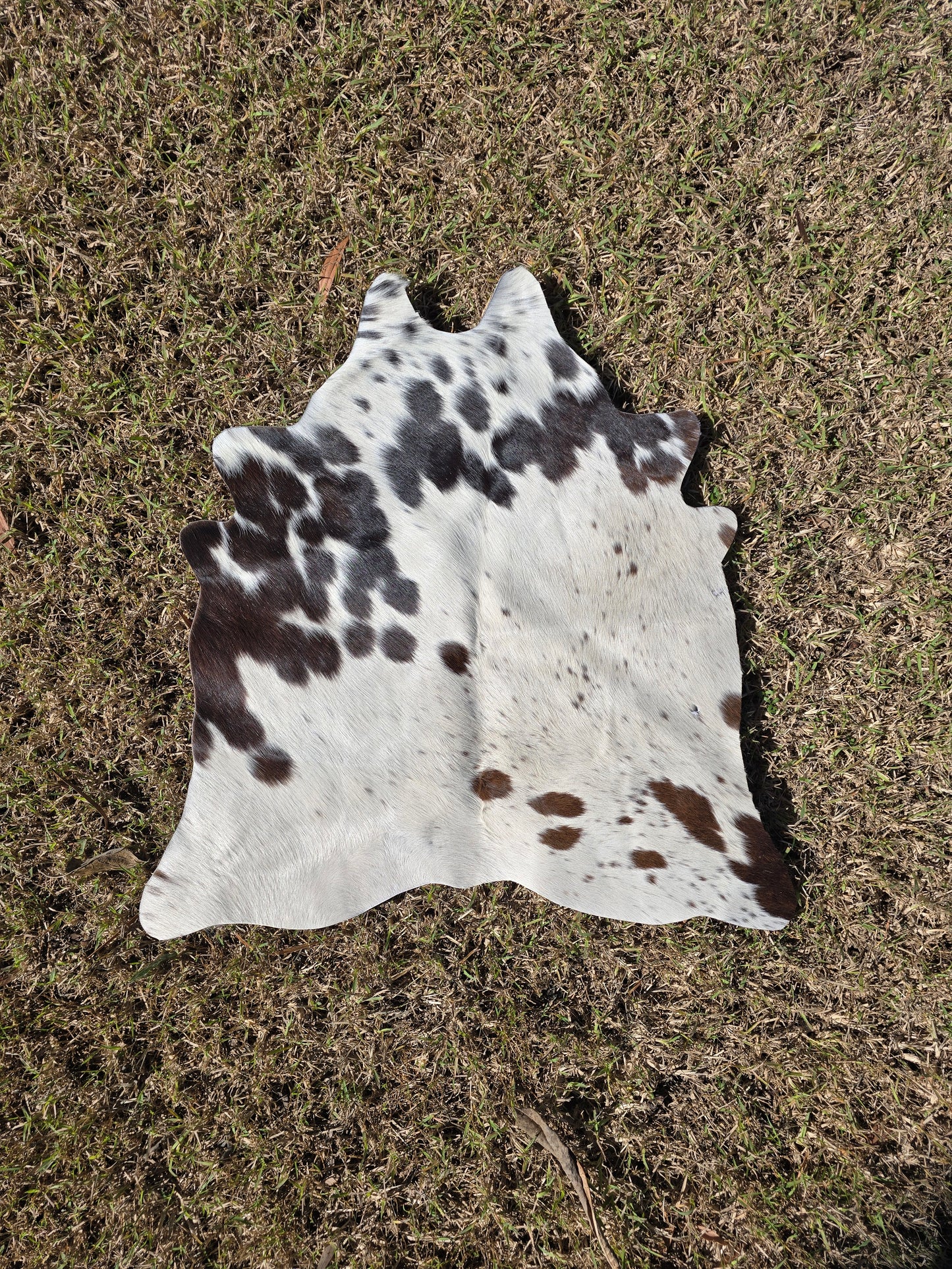 The in-betweener cowhide rug (approx 60cm x 60cm)