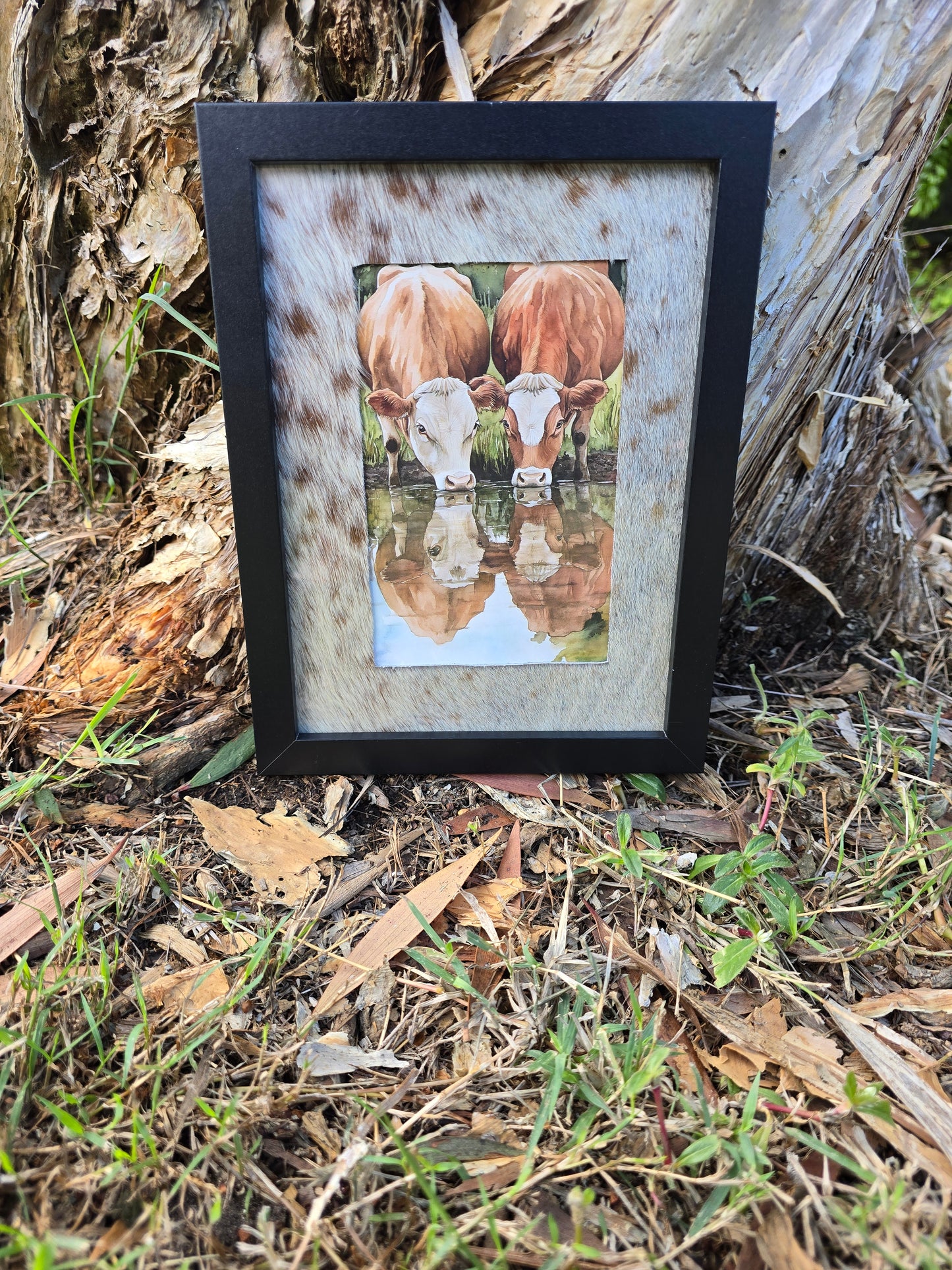 Cowhide frame with cows print
