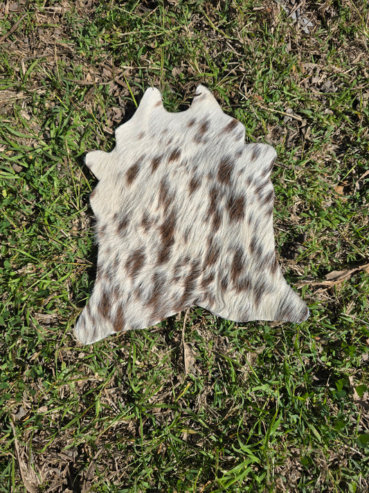 Itty Bitty Cowhide (23cm x 21cm)