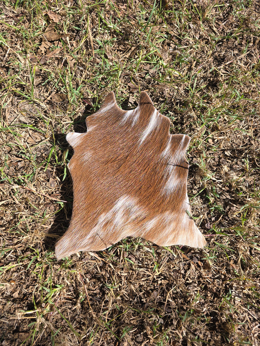 Itty Bitty Cowhide (23cm x 21cm)