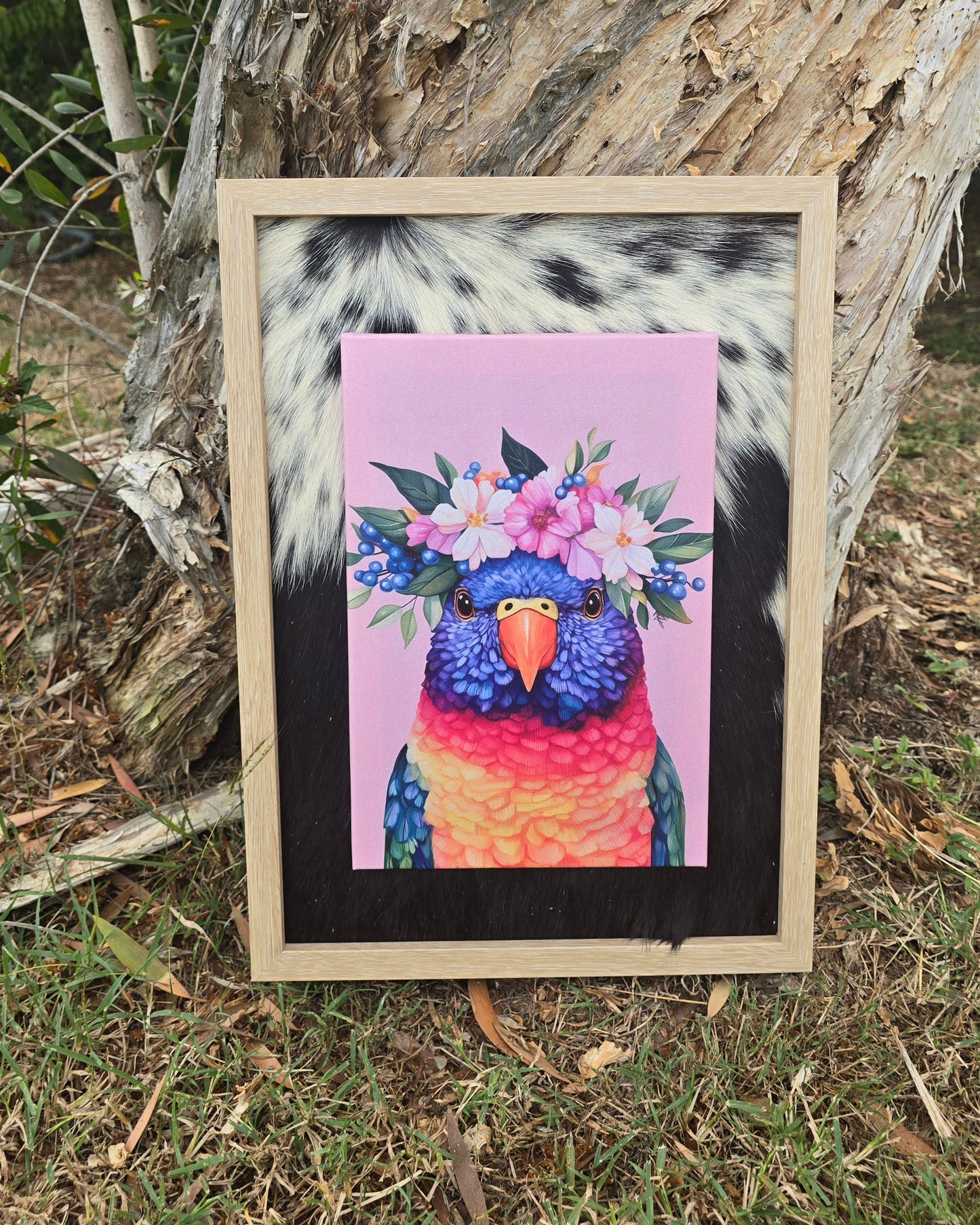 A4 Australian Bird Prints | A3 Cowhide-Bordered Frame