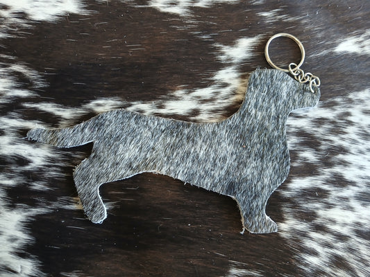 Dachshund #10
