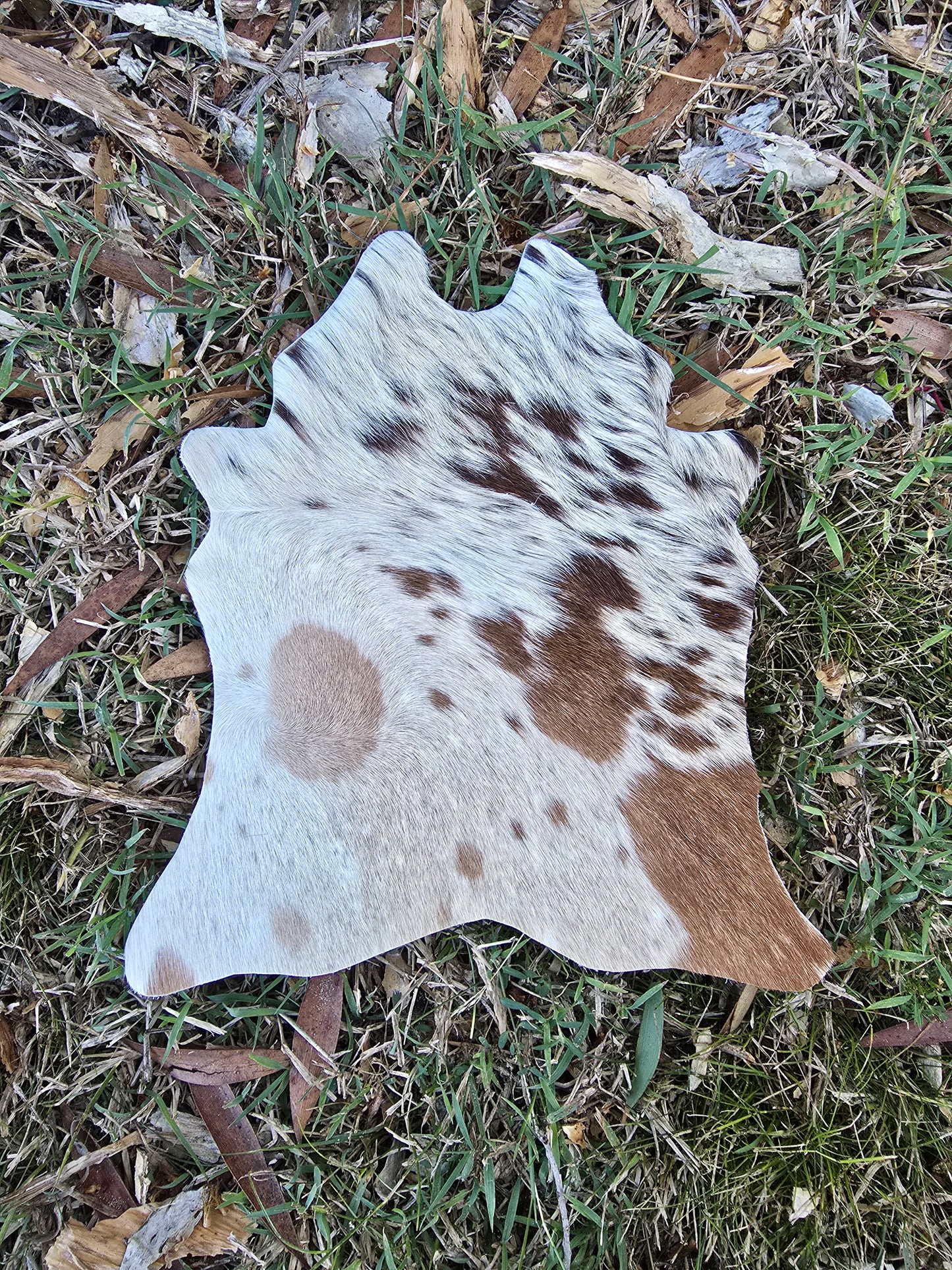 Itty Bitty Cowhide (23cm x 21cm)