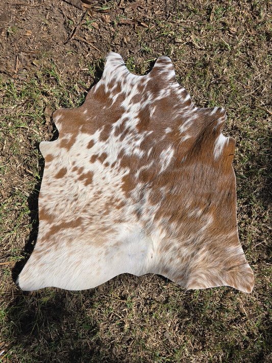 The in-betweener cowhide rug (approx 60cm x 60cm)