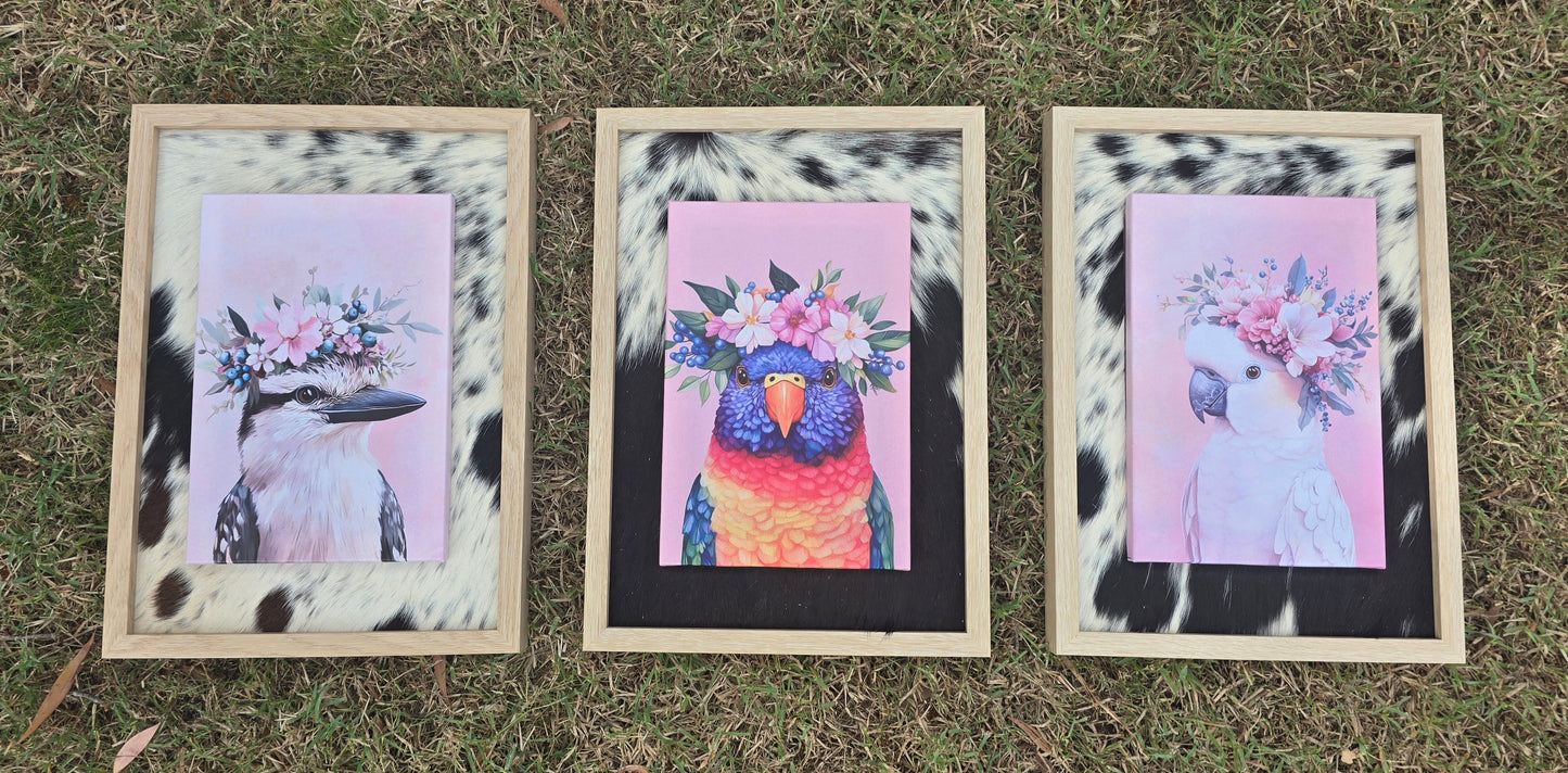 A4 Australian Bird Prints | A3 Cowhide-Bordered Frame