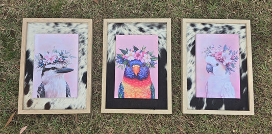 A4 Australian Bird Prints | A3 Cowhide-Bordered Frame