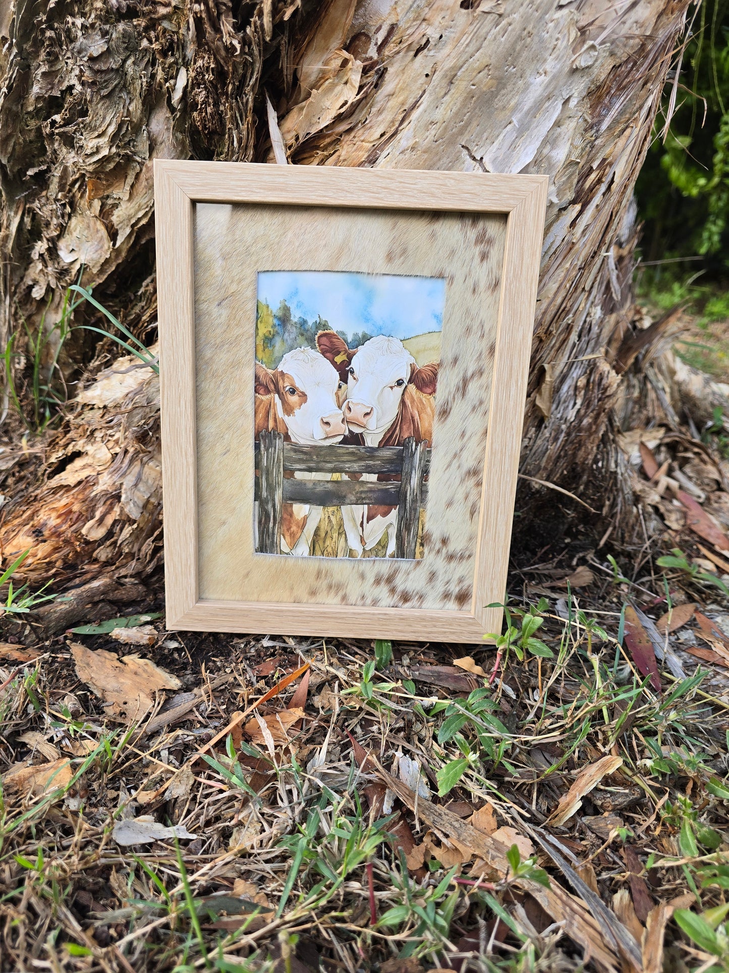 Cowhide frame with cow print