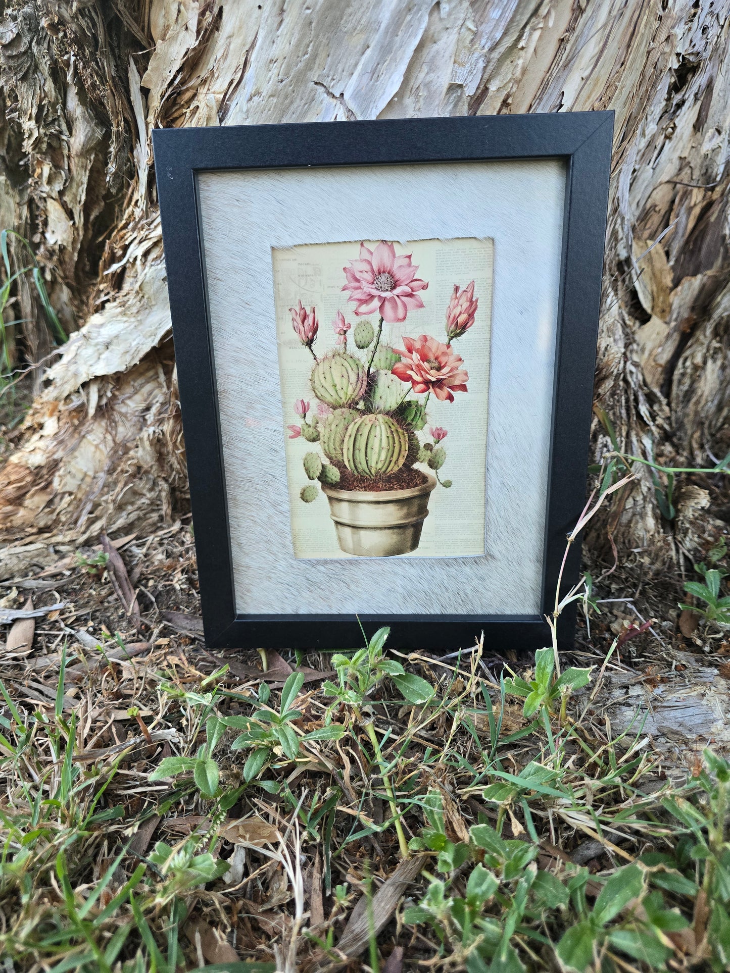 Cowhide frame with cactus print