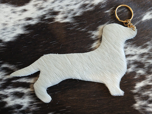 Dachshund #14