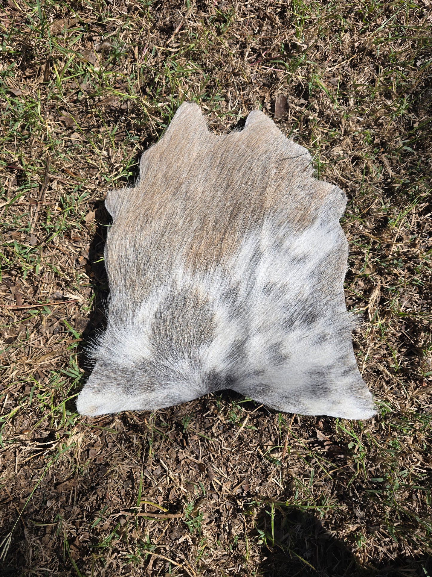 Mini Cowhide (33cm x 28cm)