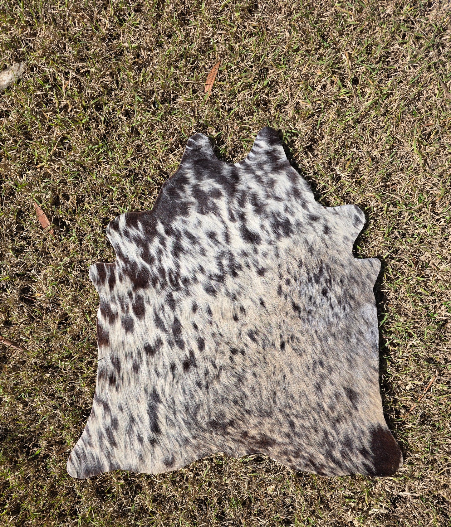 The in-betweener cowhide rug (approx 60cm x 60cm)