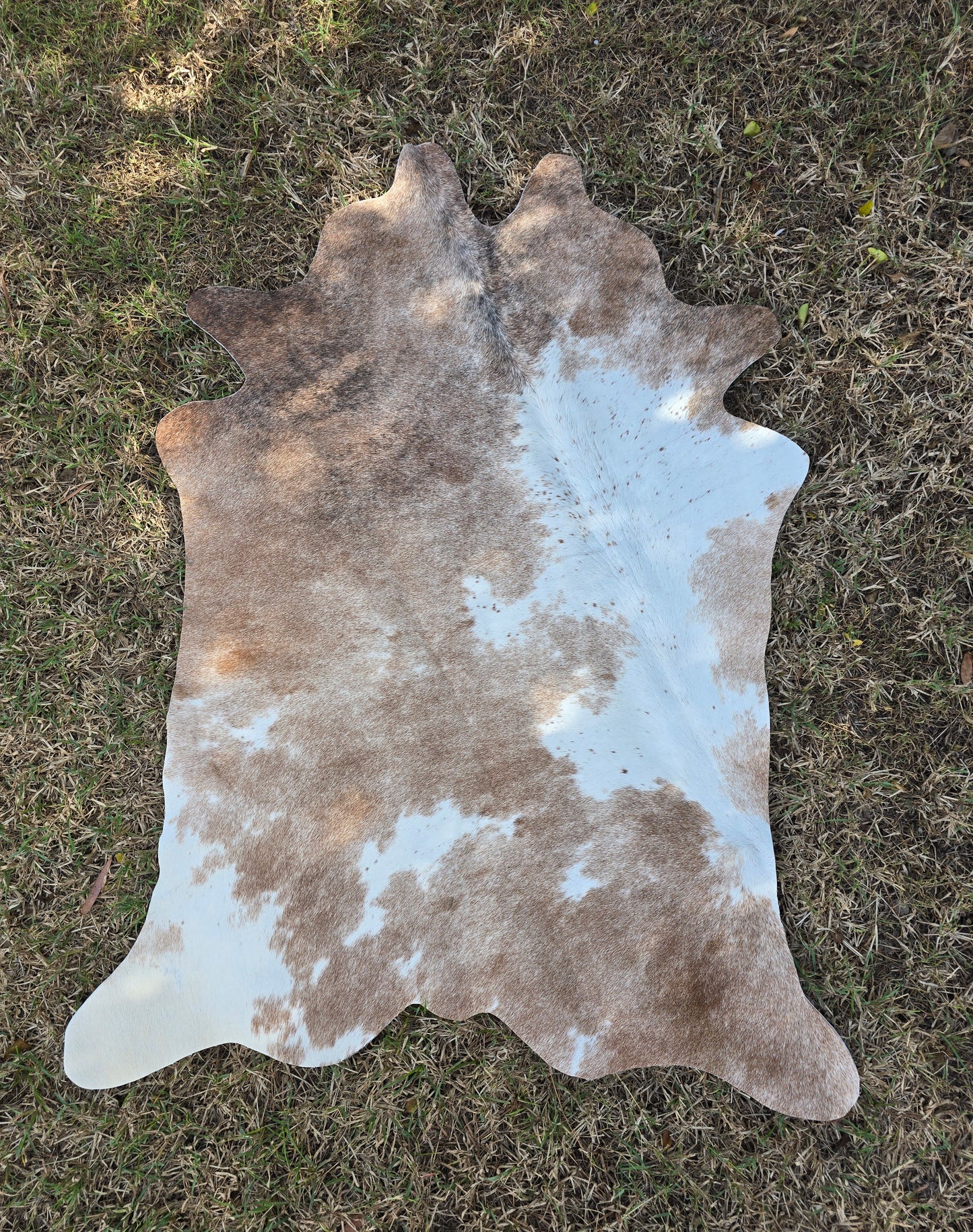 Small Cowhide Rug