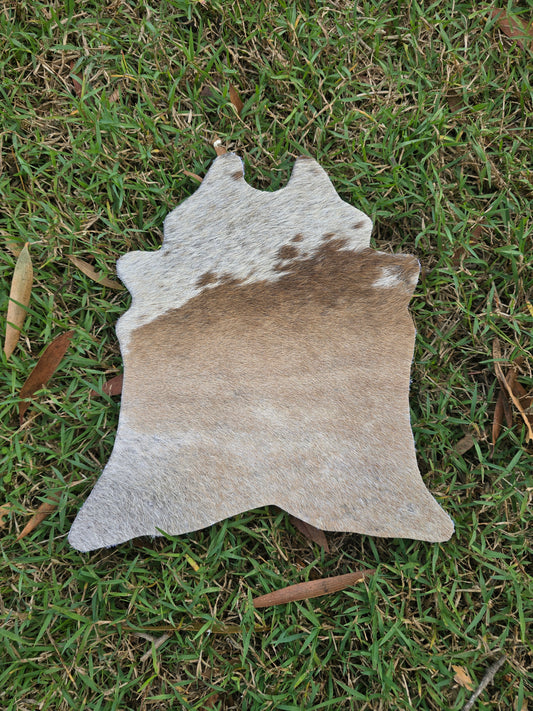 Itty Bitty Cowhide (23cm x 21cm)