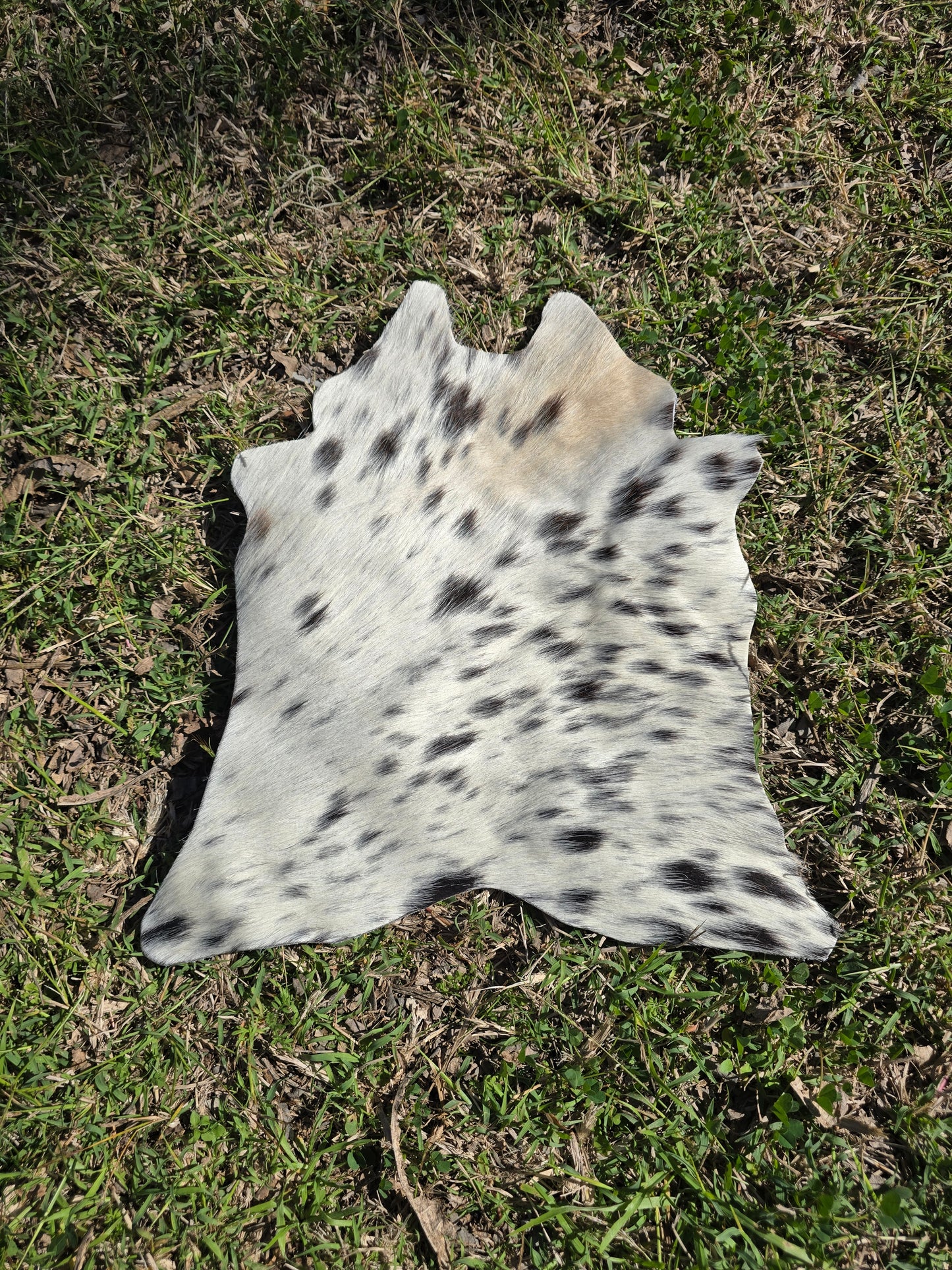 Mini Cowhide (31cm x 28cm)