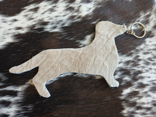 Dachshund #13