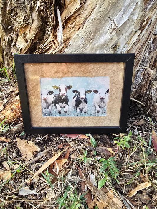 Cowhide frame with cows print