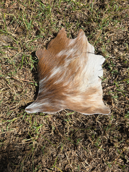 Itty Bitty Cowhide (23cm x 21cm)