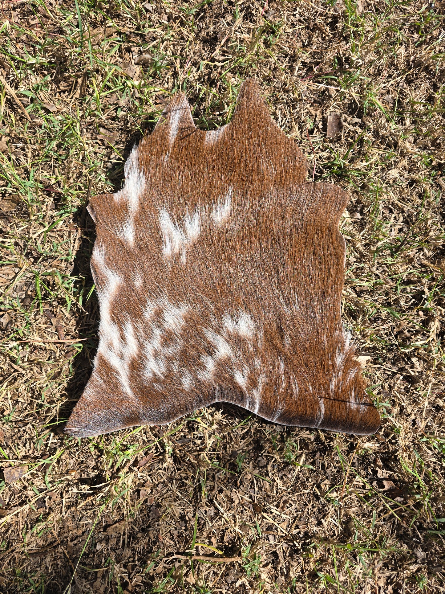 Mini Cowhide (33cm x 28cm)