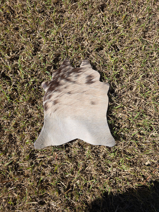 Itty Bitty Cowhide (23cm x 21cm)