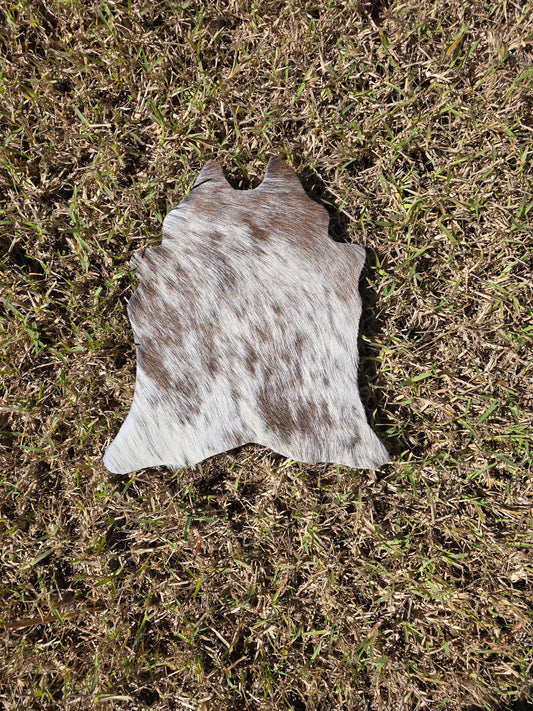 Itty Bitty Cowhide (23cm x 21cm)